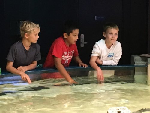 4th Graders Experience NC History